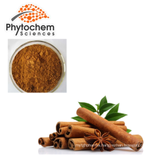 Hot sale high quality cinnamon bark extract powder